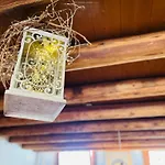 Bed & Breakfast Casa Agostini