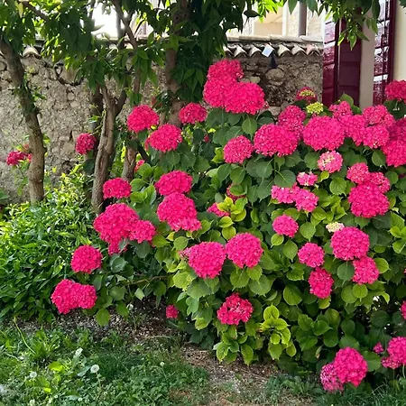 Casa Agostini Farra di Soligo